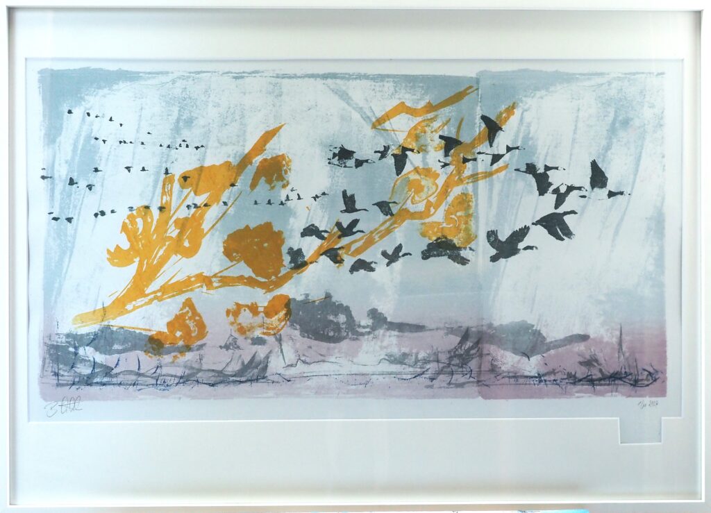 Going South 1_11-2024